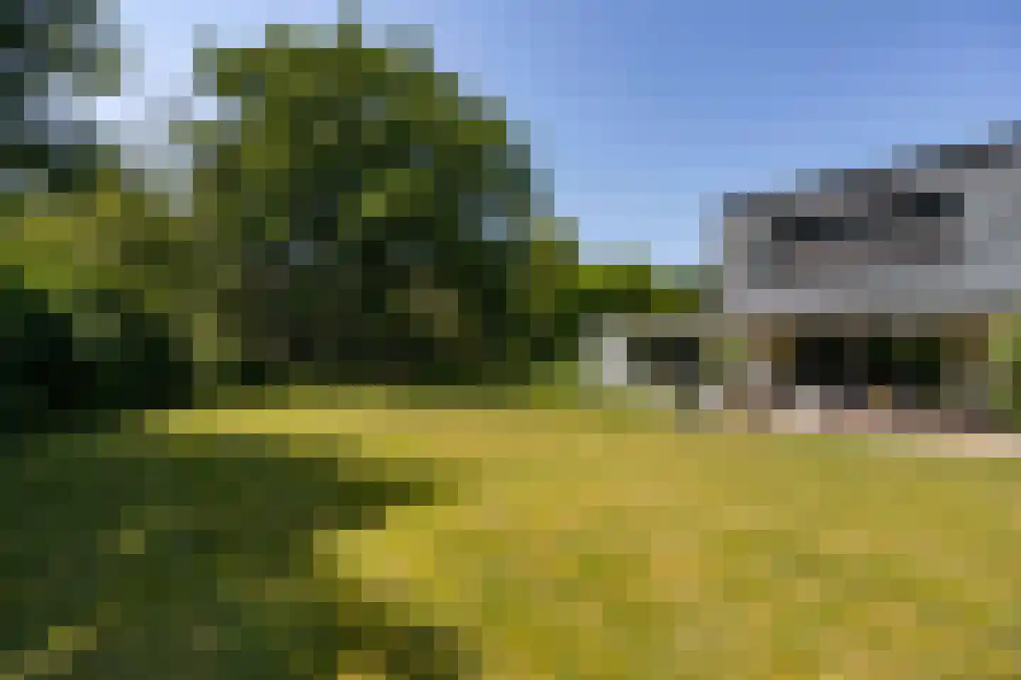 van Rijckevorsellaan 8 Moergestel thumbnail 43