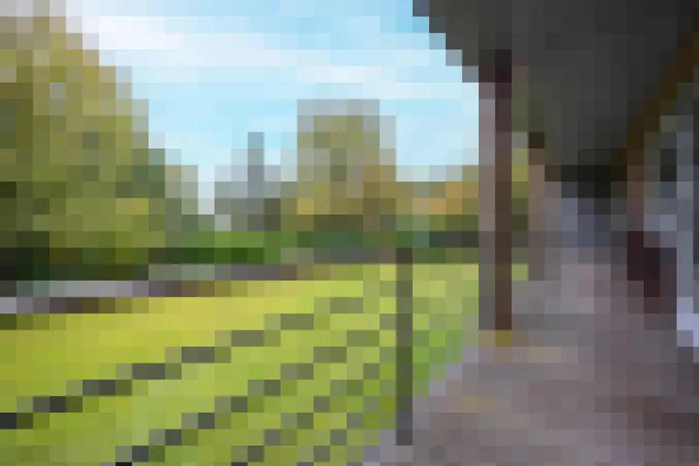 van Rijckevorsellaan 8 Moergestel thumbnail 44