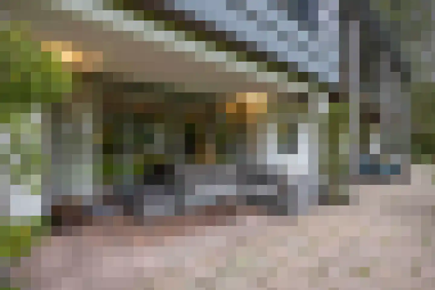 van Rijckevorsellaan 8 Moergestel thumbnail 47