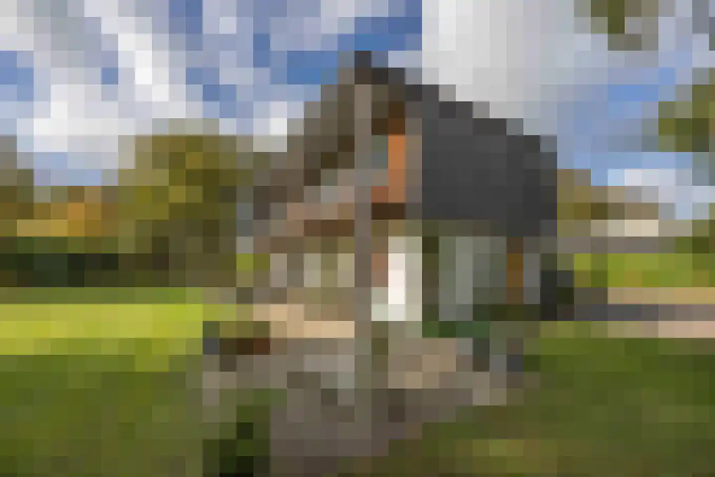 van Rijckevorsellaan 8 Moergestel thumbnail 49