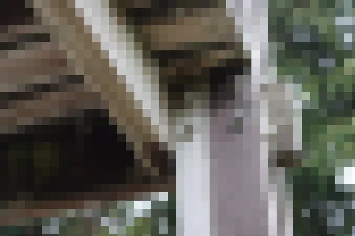 van Rijckevorsellaan 8 Moergestel thumbnail 51