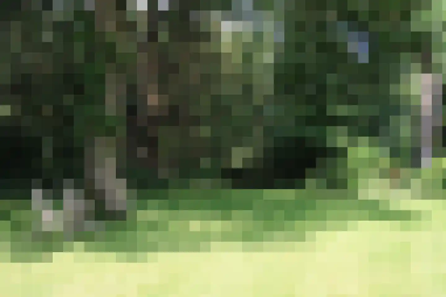 van Rijckevorsellaan 8 Moergestel thumbnail 52