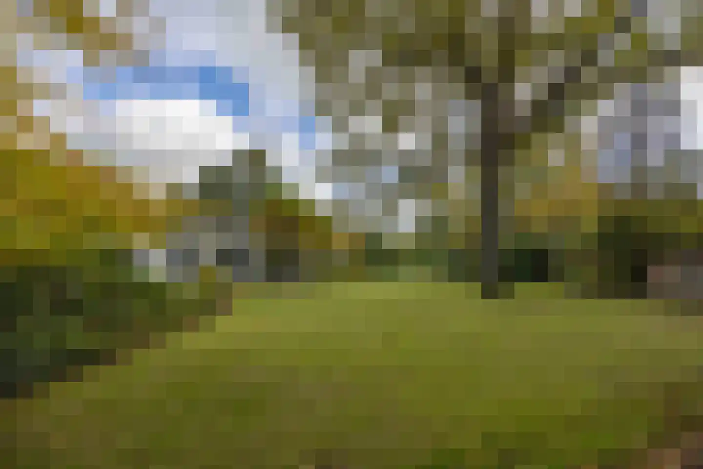 van Rijckevorsellaan 8 Moergestel thumbnail 53