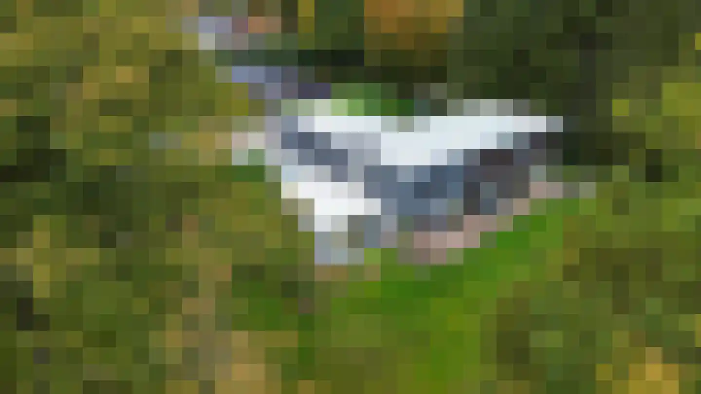 van Rijckevorsellaan 8 Moergestel thumbnail 54