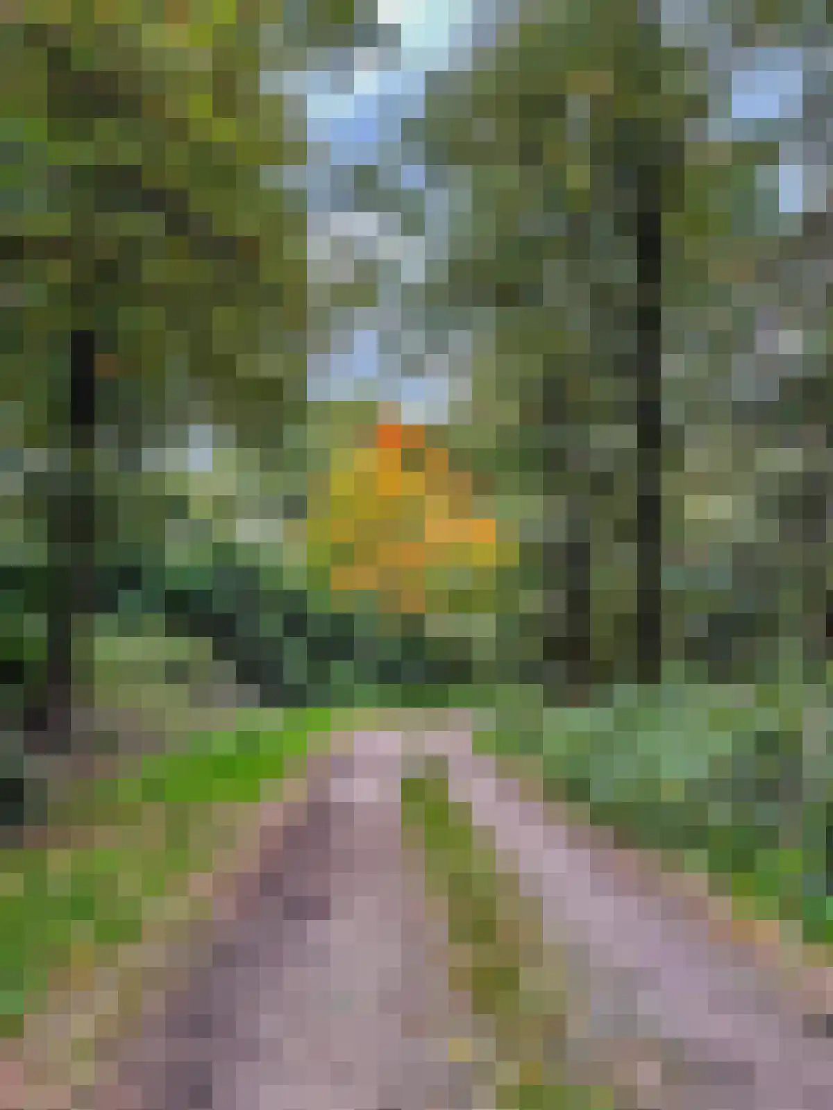 van Rijckevorsellaan 8 Moergestel thumbnail 55