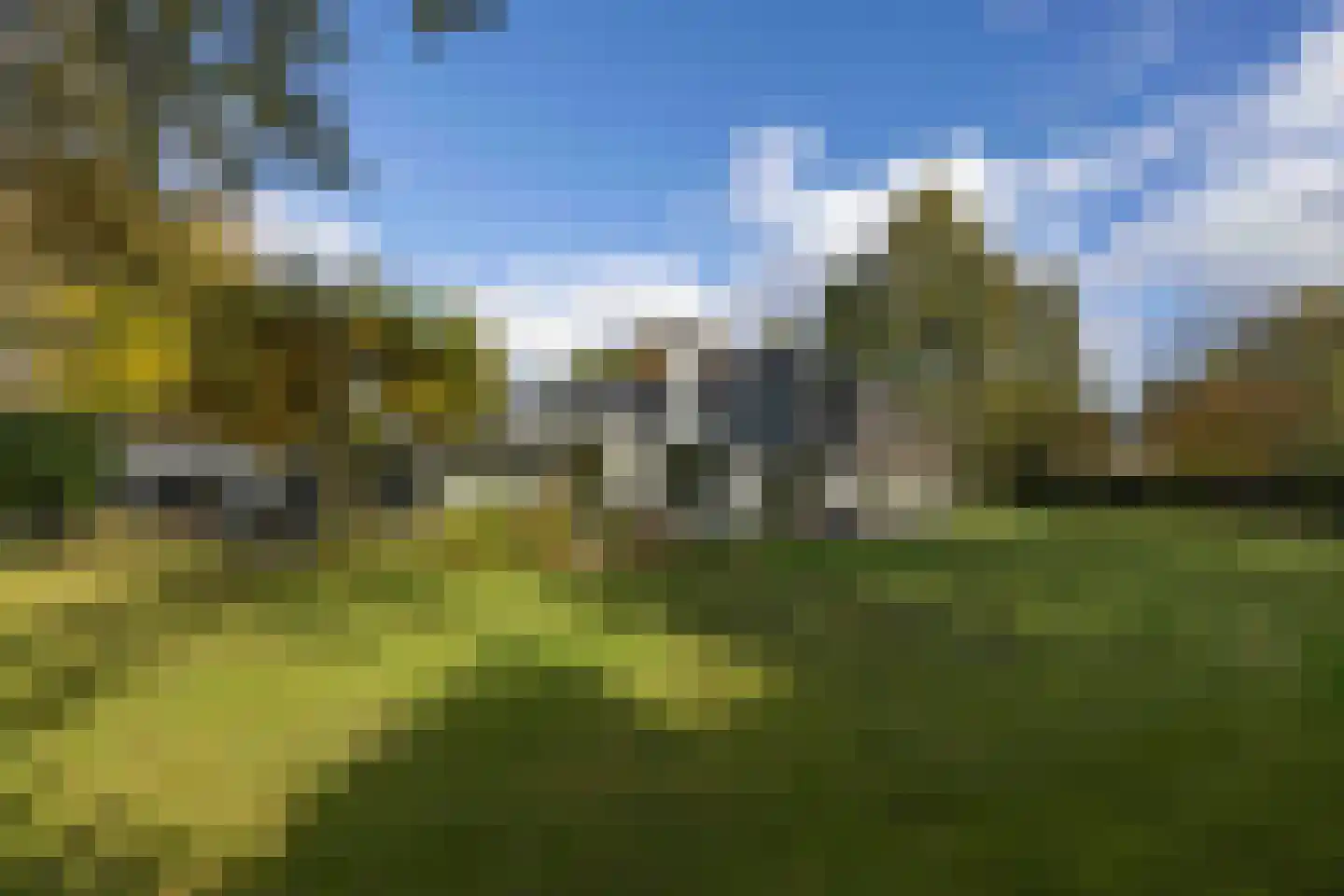 van Rijckevorsellaan 8 Moergestel foto 3