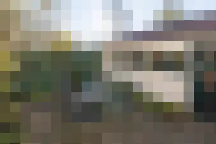 van Rijckevorselstraat 27 Driebergen-Rijsenburg thumbnail 32