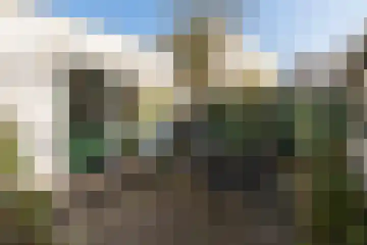 van Rijckevorselstraat 27 Driebergen-Rijsenburg thumbnail 33