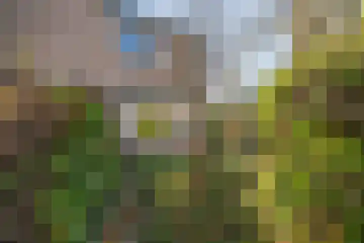 van Rijckevorselstraat 27 Driebergen-Rijsenburg thumbnail 43