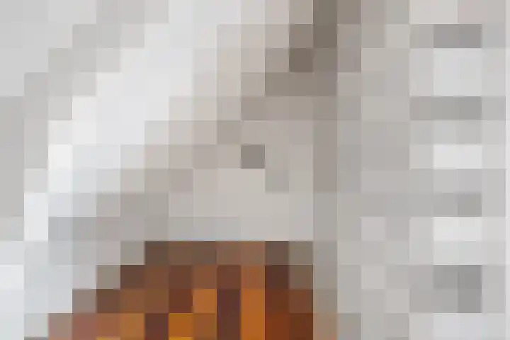 Van Rijckevorselstraat 31 Vught thumbnail 31