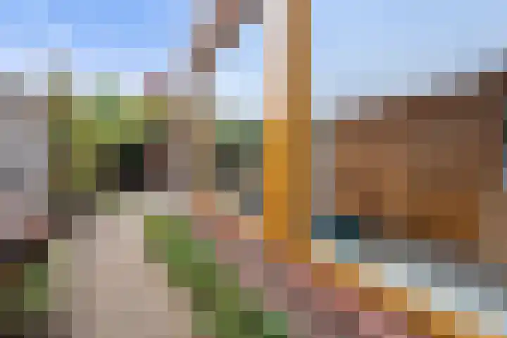 Van Rijckevorselstraat 31 Vught thumbnail 34