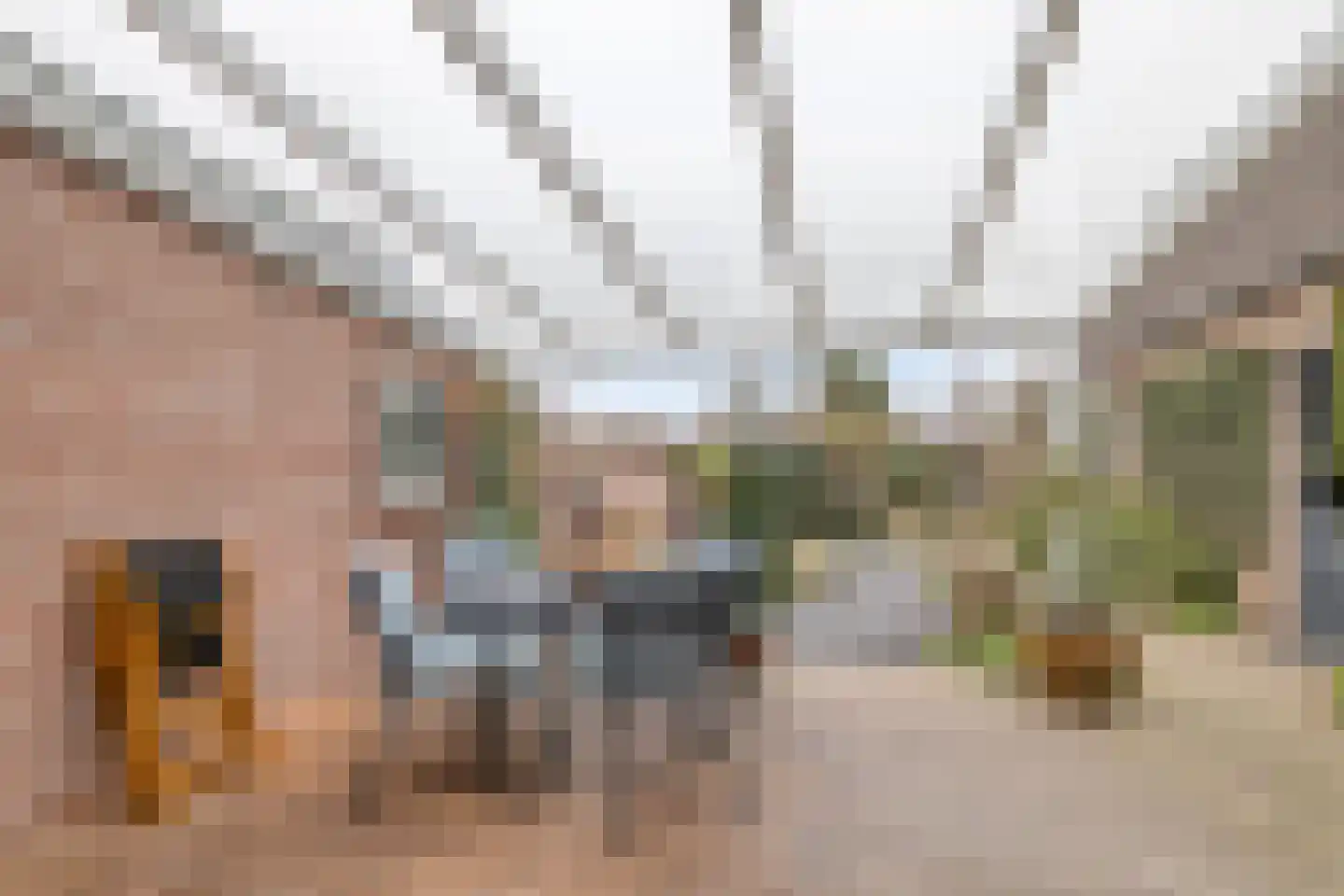 van Rijckevorselstraat 34 Loon op Zand thumbnail 30