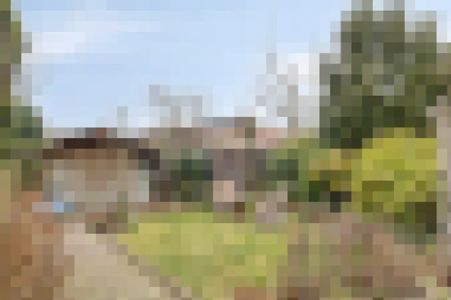 van Rijckevorselstraat 34 Loon op Zand thumbnail 33
