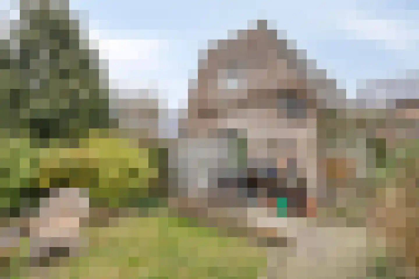 van Rijckevorselstraat 34 Loon op Zand thumbnail 34