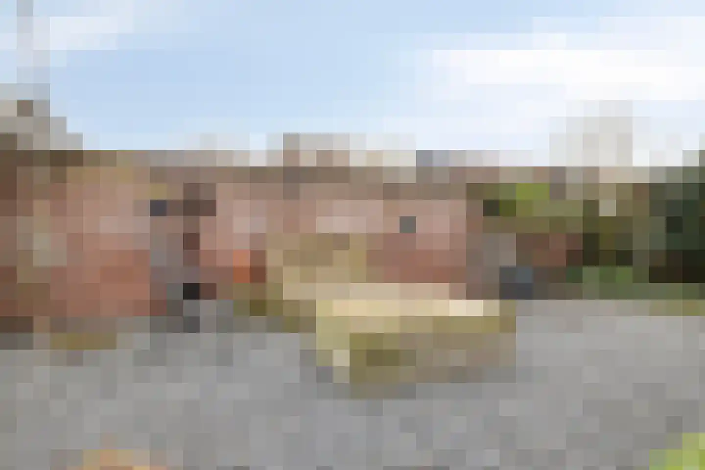 van Rijckevorselstraat 34 Loon op Zand thumbnail 36