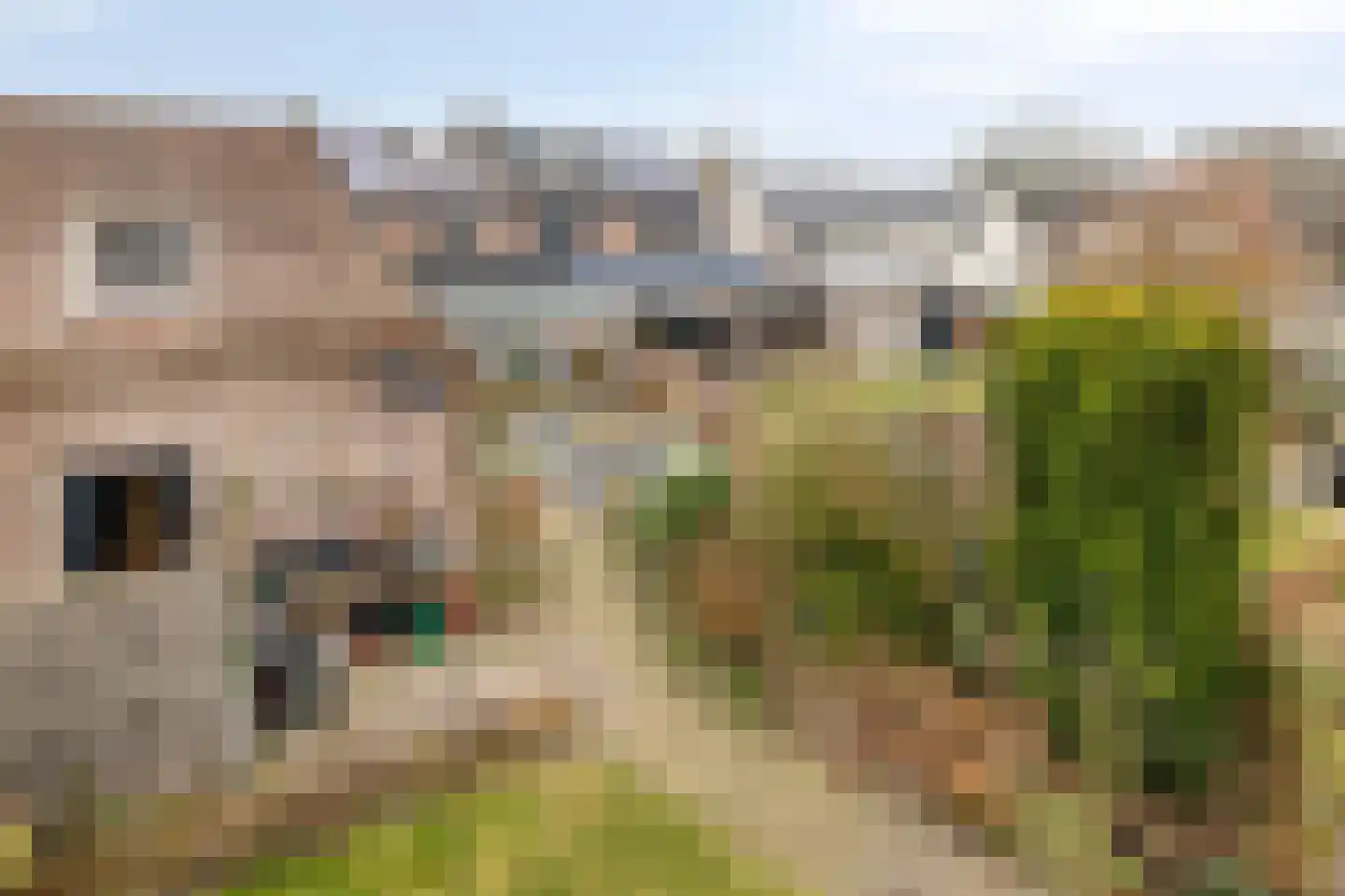 van Rijckevorselstraat 34 Loon op Zand thumbnail 49