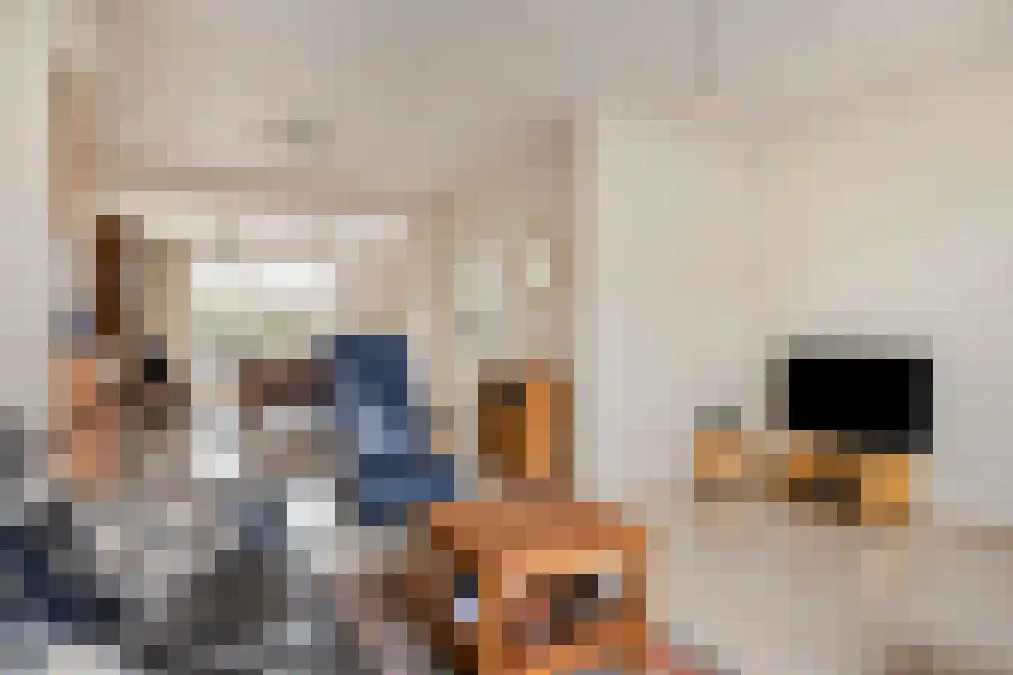 van Rijckevorselstraat 34 Loon op Zand thumbnail 9