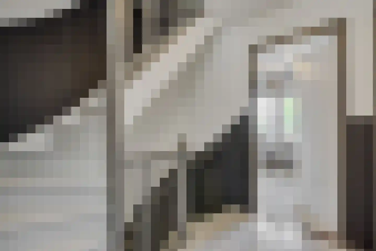 Van Rijckevorselstraat 50 Vught thumbnail 27