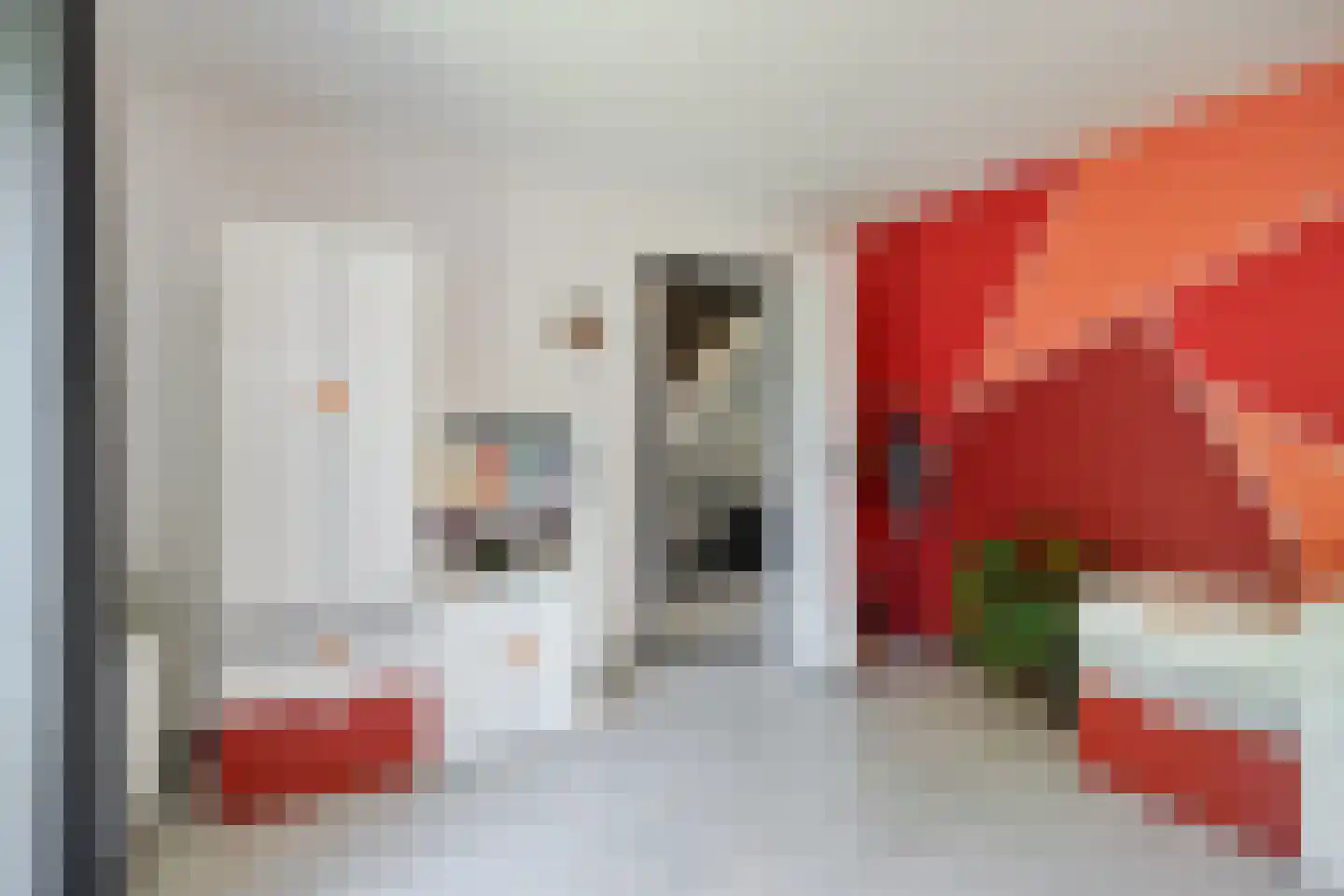 Van Rijckevorselstraat 50 Vught thumbnail 32