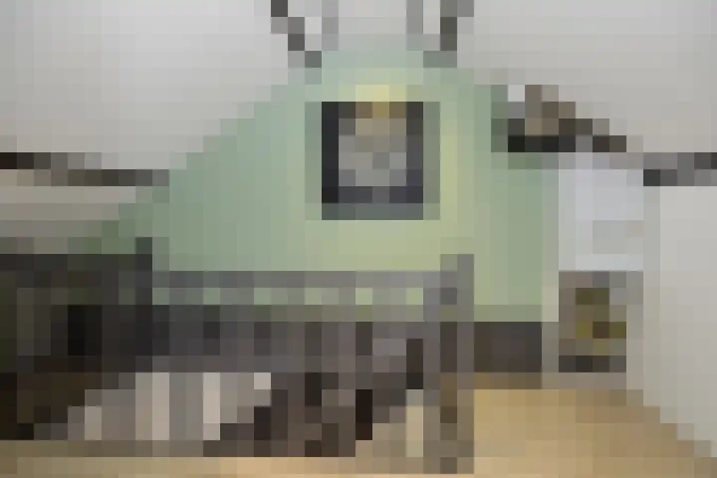 Van Rijckevorselstraat 50 Vught thumbnail 35