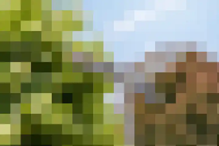 van Rijckevorselstraat 6 Loon op Zand thumbnail 102