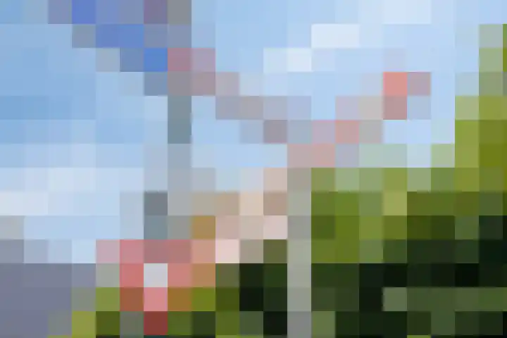 van Rijckevorselstraat 6 Loon op Zand thumbnail 103