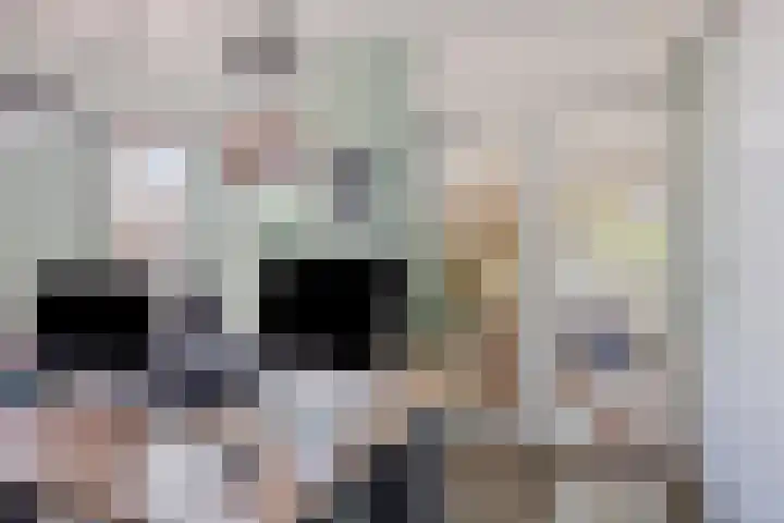 van Rijckevorselstraat 6 Loon op Zand thumbnail 20