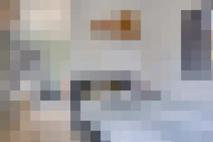 van Rijckevorselstraat 6 Loon op Zand thumbnail 32
