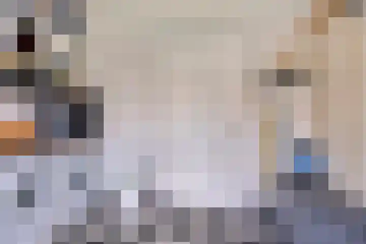 van Rijckevorselstraat 6 Loon op Zand thumbnail 38