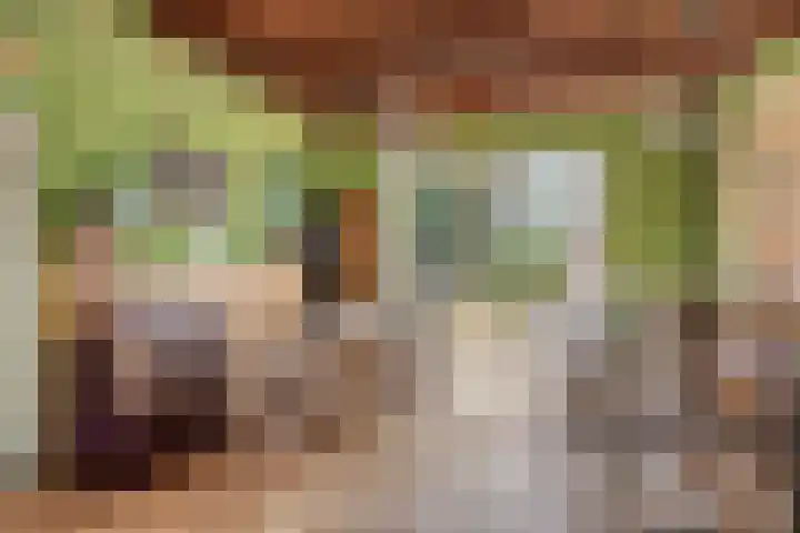 van Rijckevorselstraat 6 Loon op Zand thumbnail 42