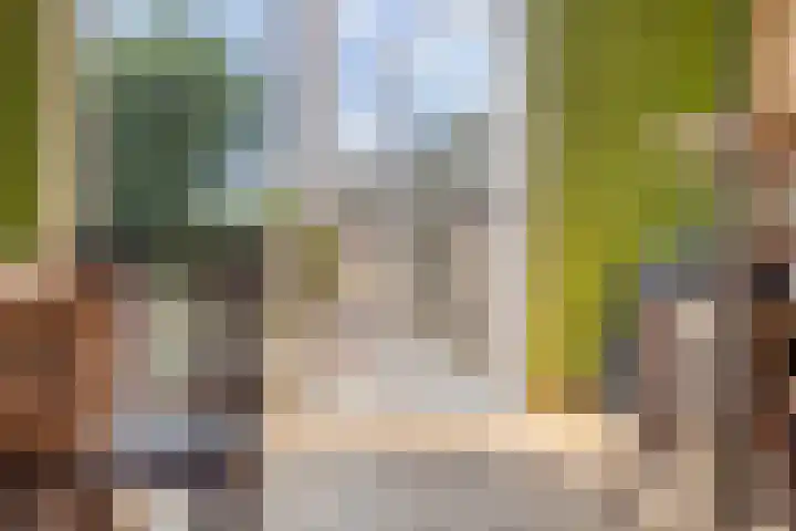 van Rijckevorselstraat 6 Loon op Zand thumbnail 43