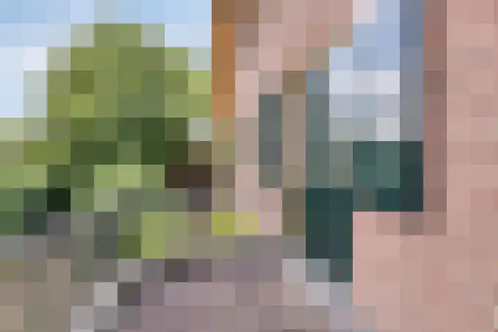 van Rijckevorselstraat 6 Loon op Zand thumbnail 53