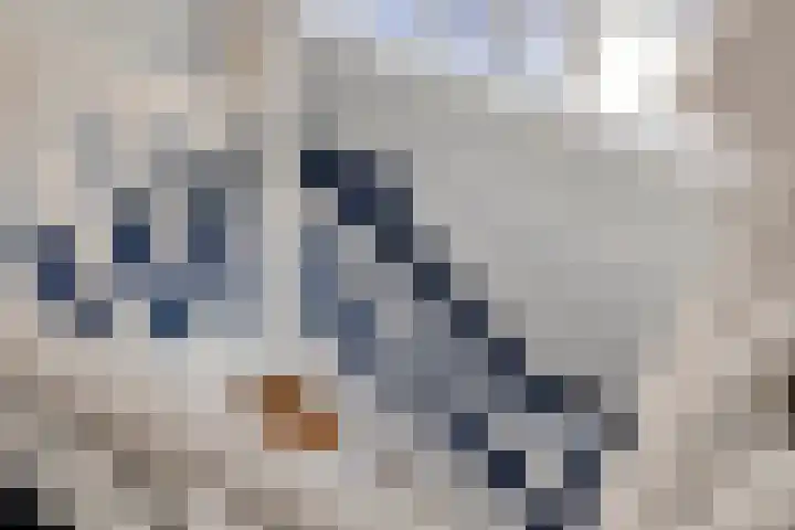 van Rijckevorselstraat 6 Loon op Zand thumbnail 66