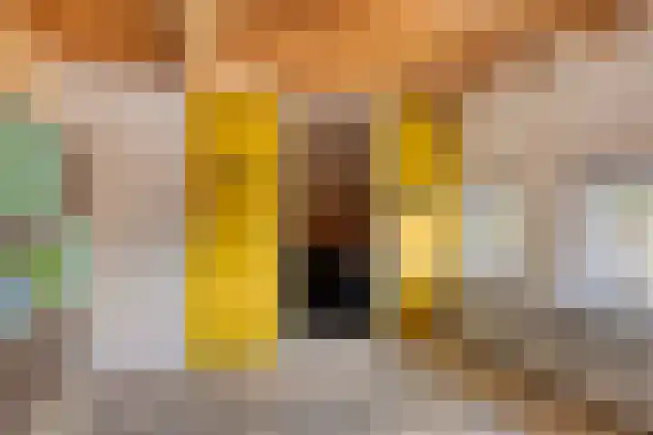 van Rijckevorselstraat 6 Loon op Zand thumbnail 69