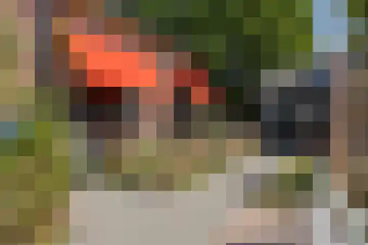 van Rijckevorselstraat 6 Loon op Zand thumbnail 83