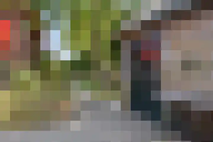 van Rijckevorselstraat 6 Loon op Zand thumbnail 86