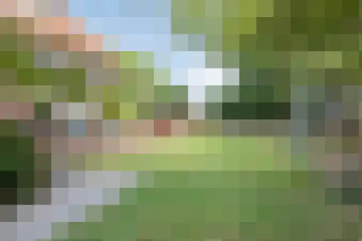 van Rijckevorselstraat 6 Loon op Zand thumbnail 87