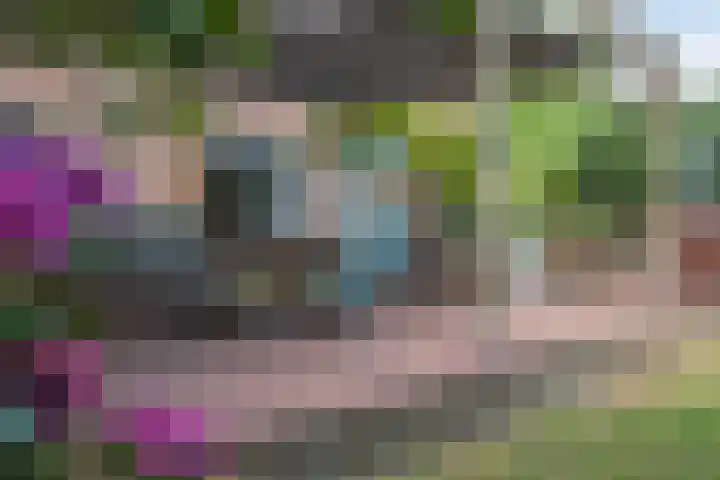 van Rijckevorselstraat 6 Loon op Zand thumbnail 88