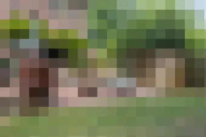van Rijckevorselstraat 6 Loon op Zand thumbnail 89