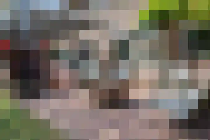 van Rijckevorselstraat 6 Loon op Zand thumbnail 92
