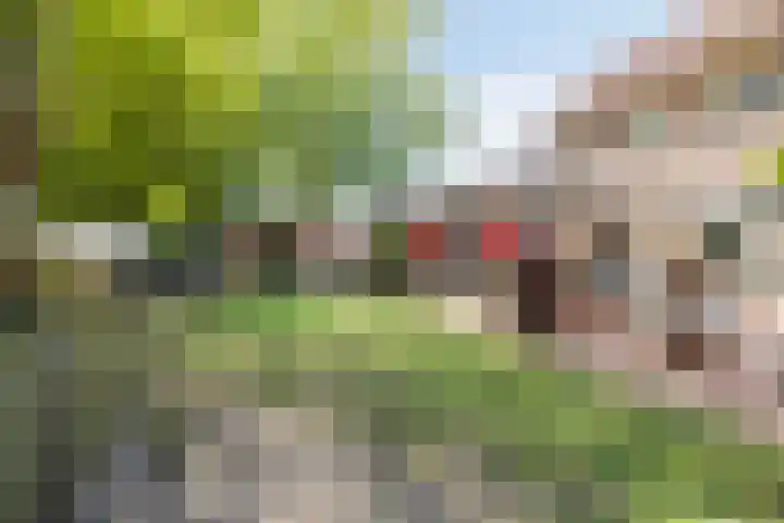 van Rijckevorselstraat 6 Loon op Zand thumbnail 93