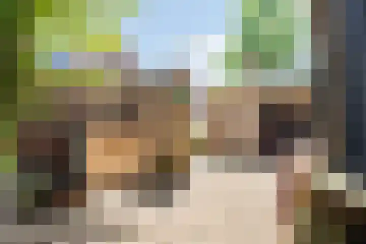 van Rijckevorselstraat 6 Loon op Zand thumbnail 94