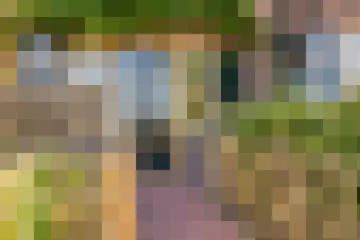 van Rijckevorselstraat 6 Loon op Zand thumbnail 98