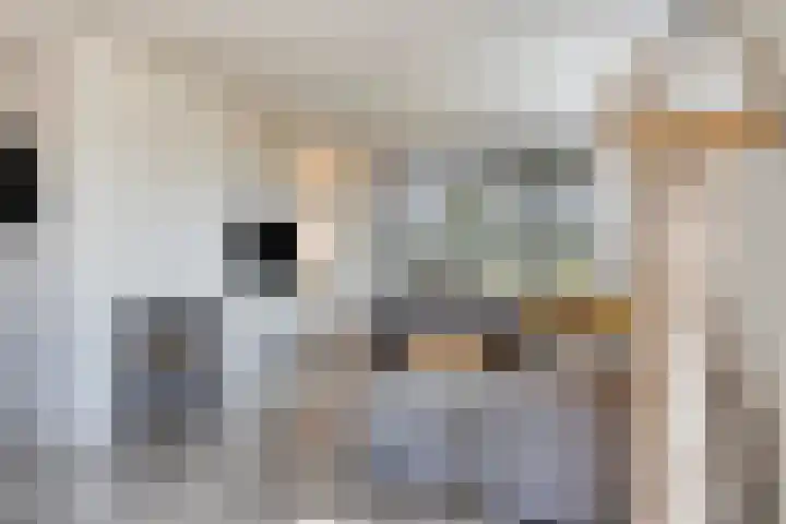 Van Rijckevorselweg 2 Vinkel thumbnail 10