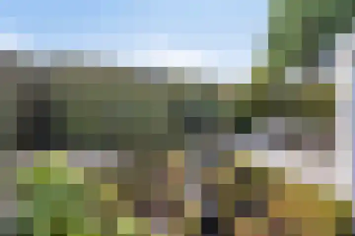 Van Rijckevorselweg 2 Vinkel thumbnail 102