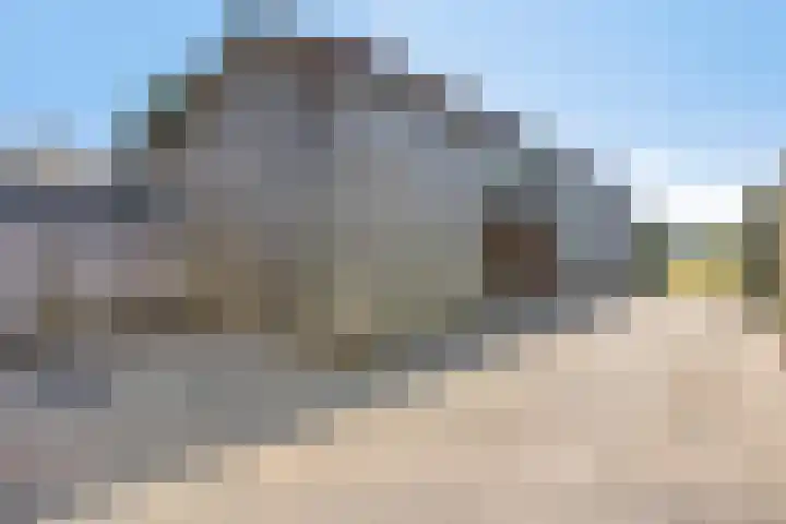 Van Rijckevorselweg 2 Vinkel thumbnail 107