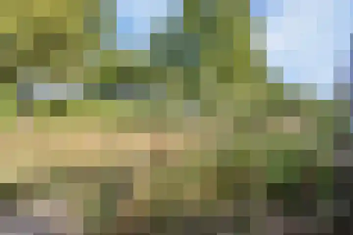 Van Rijckevorselweg 2 Vinkel thumbnail 112