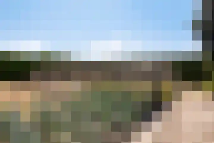 Van Rijckevorselweg 2 Vinkel thumbnail 113