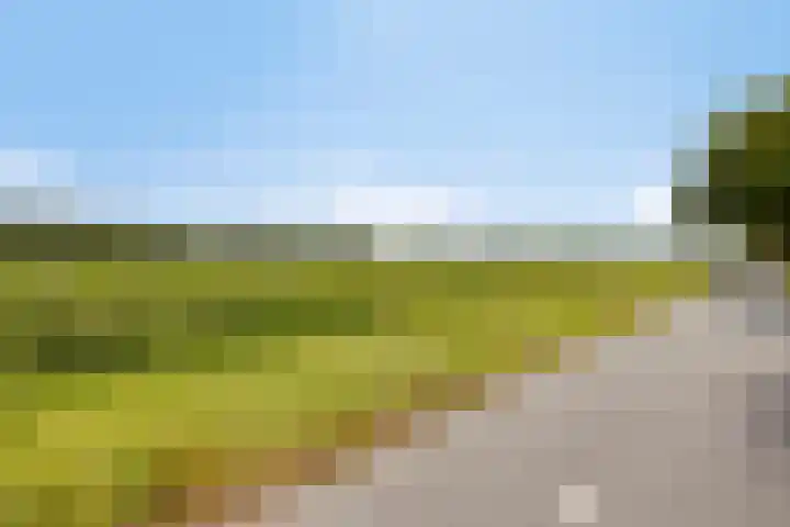 Van Rijckevorselweg 2 Vinkel thumbnail 124