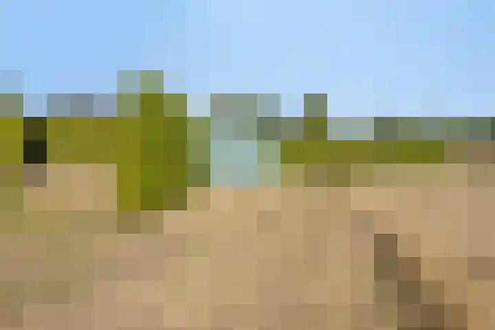 Van Rijckevorselweg 2 Vinkel thumbnail 125